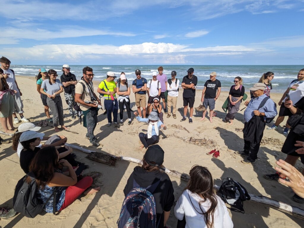 persone in cerchio sulla spiaggia vicine a un nido 